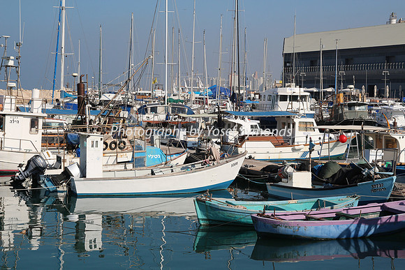 Jaffa Fishing Port
