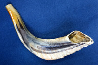 Shofar DSC06082