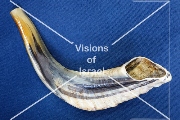 Shofar DSC06082