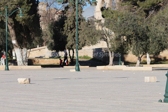 140209-HarHabayit-9845