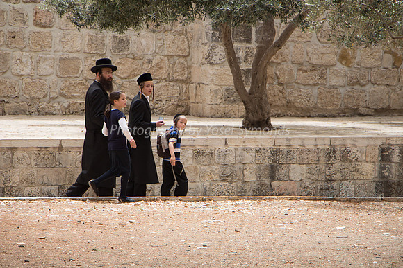 Temple Mount 140605 June 2014