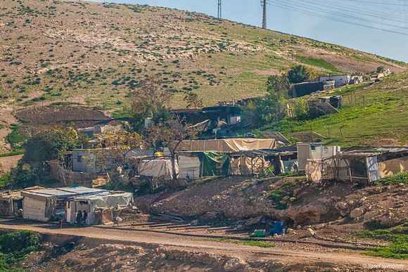 Bedouin Encampments 230111-22