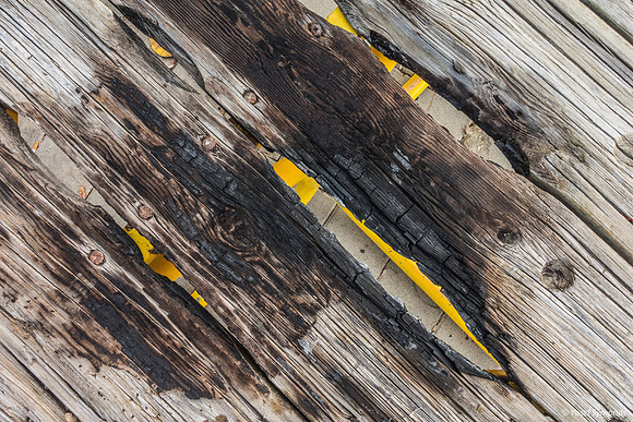 Damage to Park Furniture 250125-1