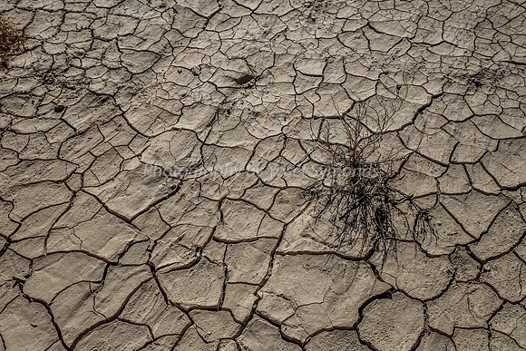 Parched Earth in Negev 150930-4