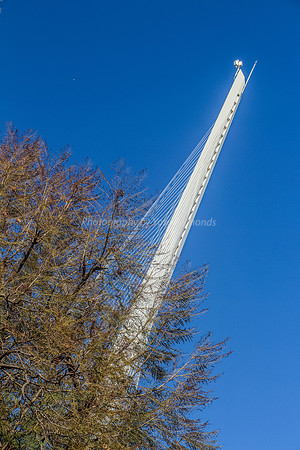 150201-StringBridge0685