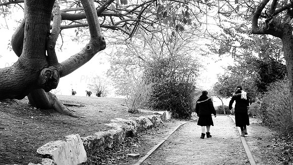 Path alongside Park - RBSA