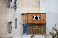 Wallflower Sukkah
