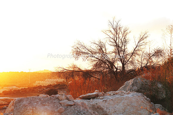 Mem 3 2014 Q3 Sunset on Ramat Shilo 8043