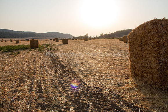Haystacks Kibbutz Netiv lamed Hey 170721-1