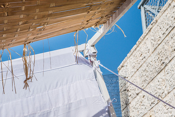 David's Fallen Sukkah 191016-7