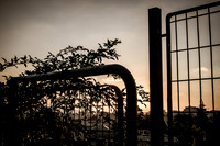 Fence Before Sunset 3