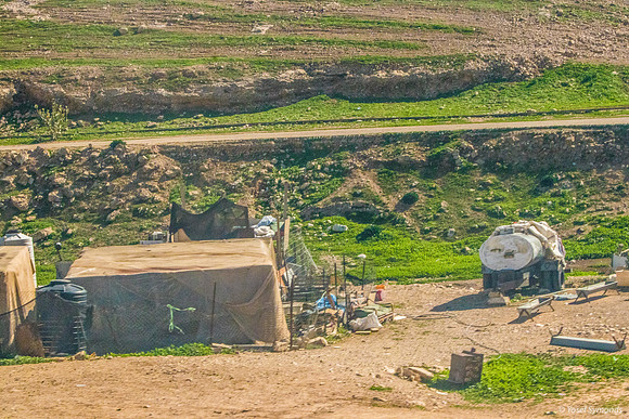 Bedouin Encampments 230111-20