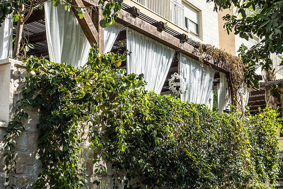 Ivy League Sukkah 241025-1