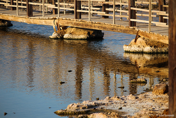 Bridge on Southern Lake 14