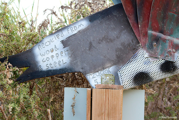 Environmental Construction