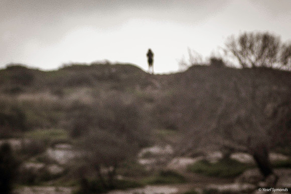 Lady On the Hill 200216-1
