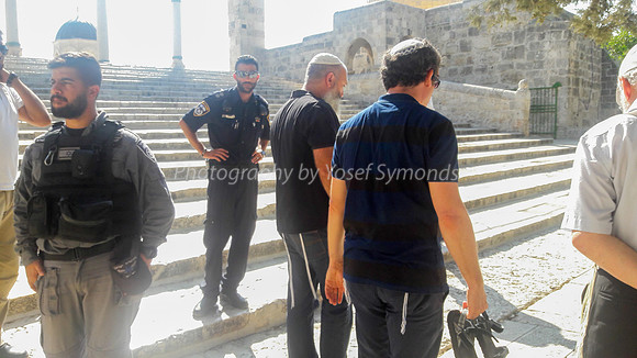 Old Western Wall Line 4