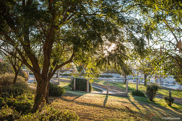 Morning Rises at the Park 191218-3