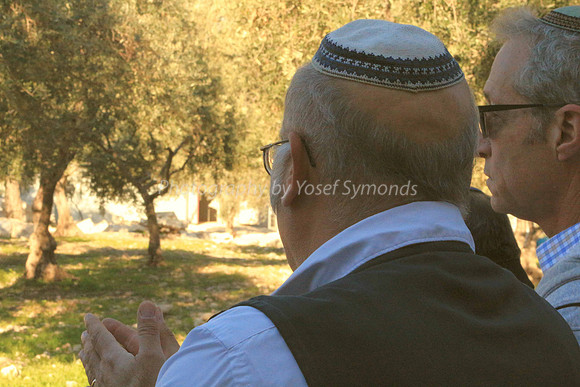 140209-HarHabayit-9867