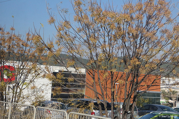 Fall and Winter Hit Big Fashion Mall (Beit Shemesh)