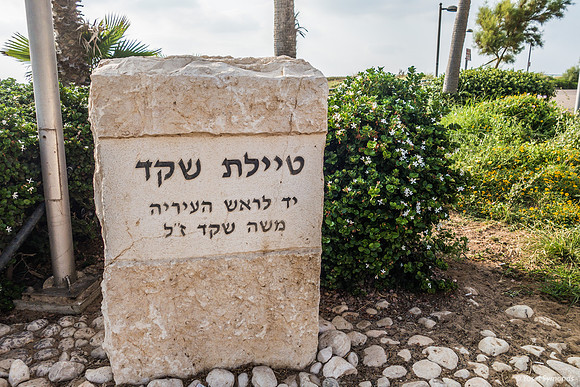 Shaked Tayelet Dedication Stone 190804-1