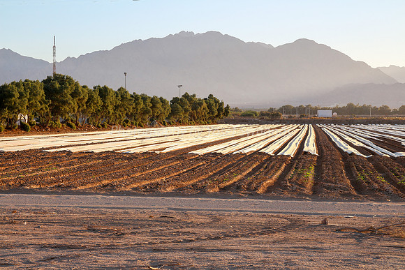Fields of Kibbutz Eilot 151206-1