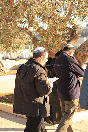 140209-HarHabayit-9791
