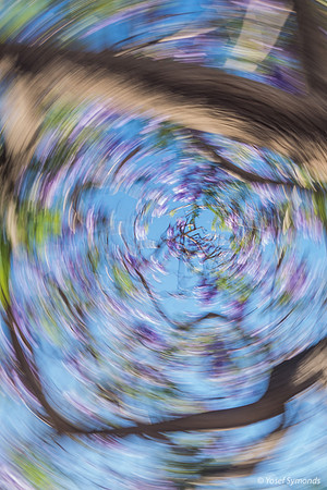 Jacaranda Maor Spinning 200526-12