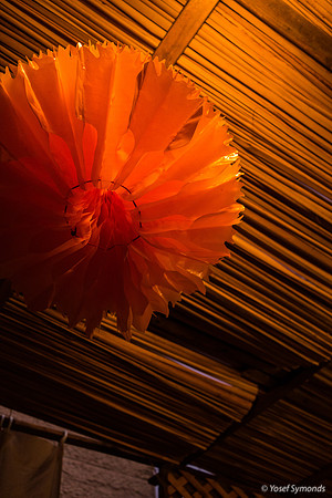 Red Sukkah Decoration 191017-5