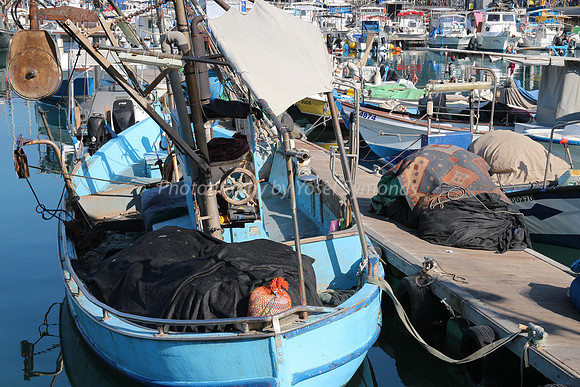 Jaffa Fishing Port