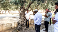 Jewish Prayer 250731-1
