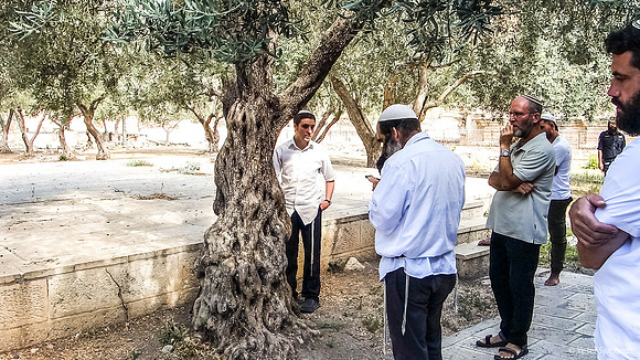 Jewish Prayer 250731-1