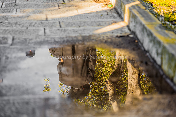Reflection from Rain Puddle on East Side 190212-2