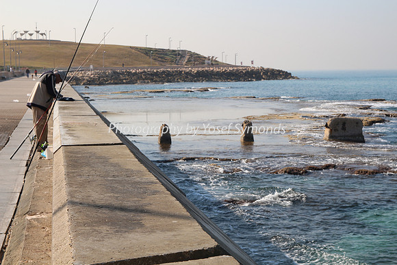 Jaffa Fishing Port
