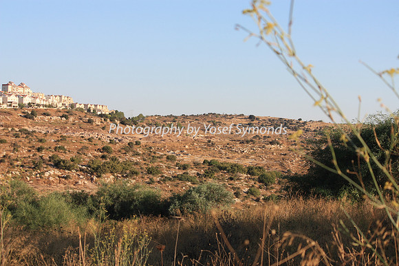 Mishkafayim 2012 Q3 6883