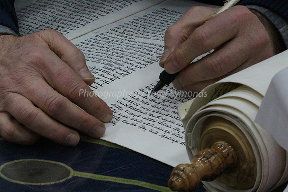 Checking the Parchment Scroll 2