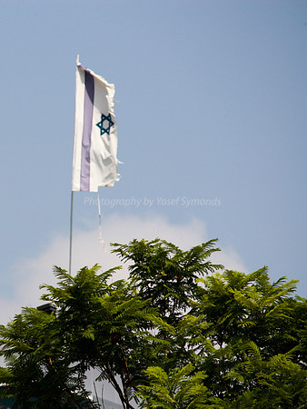 Torn Flag