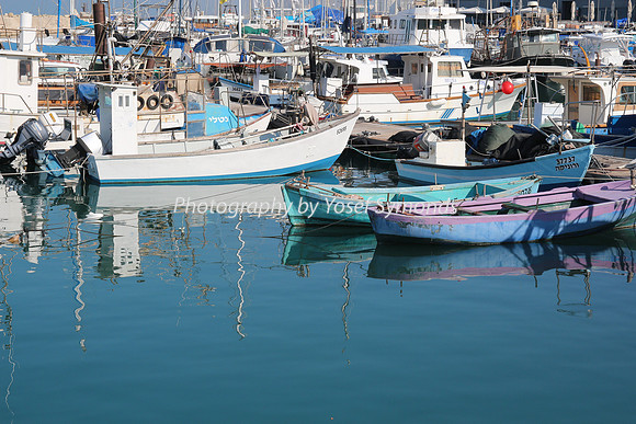 Jaffa Fishing Port