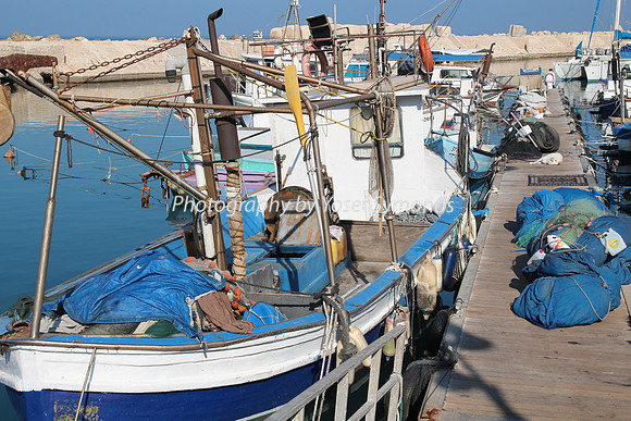Jaffa Fishing Port
