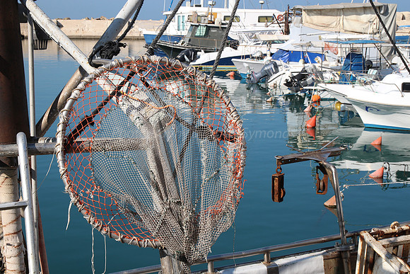 Jaffa Fishing Port