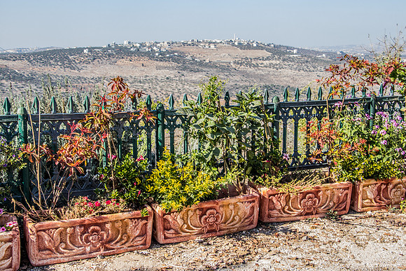 Zar Grounds View North 180927-24