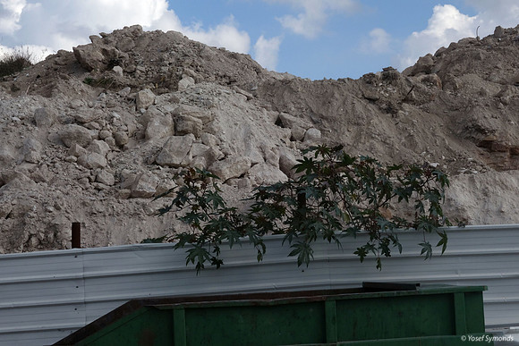 Suburban Development & Dumpster - Beit Shemesh