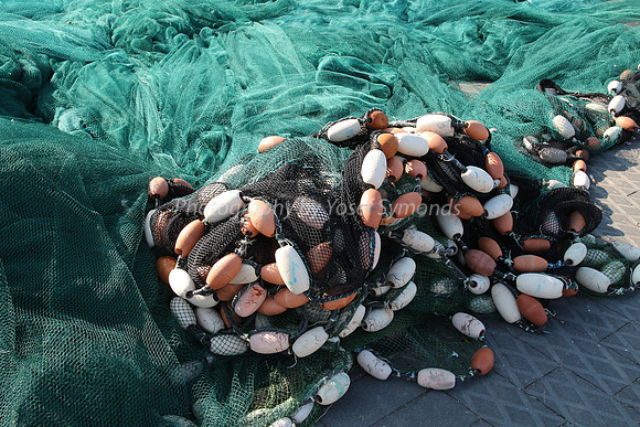 Jaffa Fishing Port