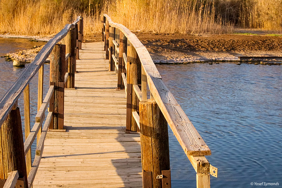 Bridge on Southern Lake 7