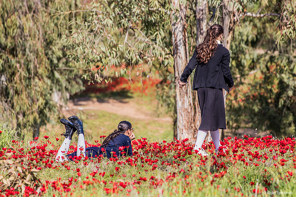 Schoolgirls In the Poppy Field 220216-6