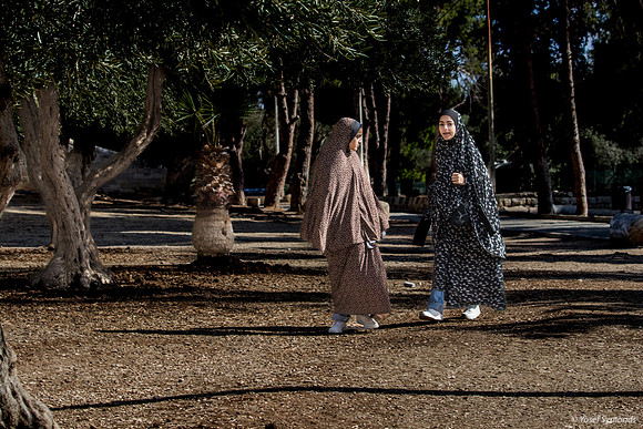 Arab Women on Stroll 250731-4