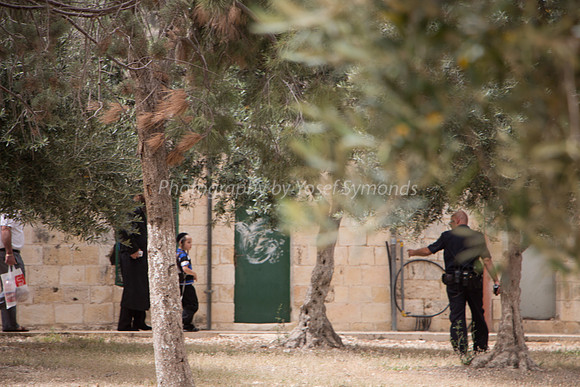 Temple Mount 140605 June 2014