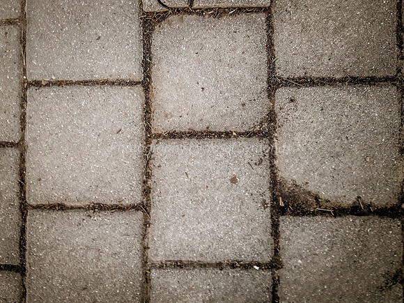 Square Paving Stones 1