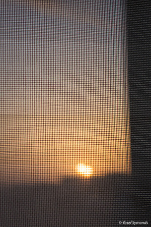 Double Sunset Reflected Through Screen 200329-2