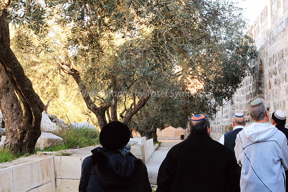 140209-HarHabayit-9857A